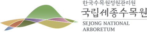 그림입니다.