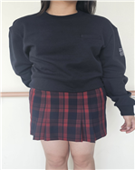 그림입니다.