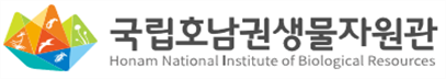 그림입니다.
